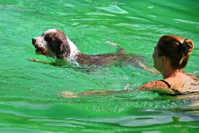 Auch manche Frauchen und Herrchen wagten sich mit ins khle Nass.  | Foto: Angelika Schmidt