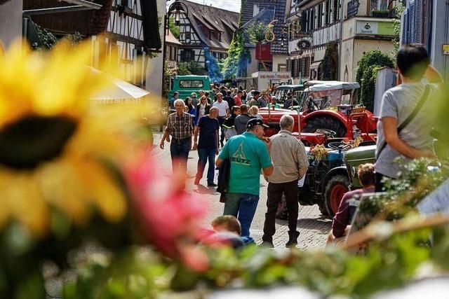 Fotos: Tausende beim Oldtimer-Schleppertreffen in Bahlingen