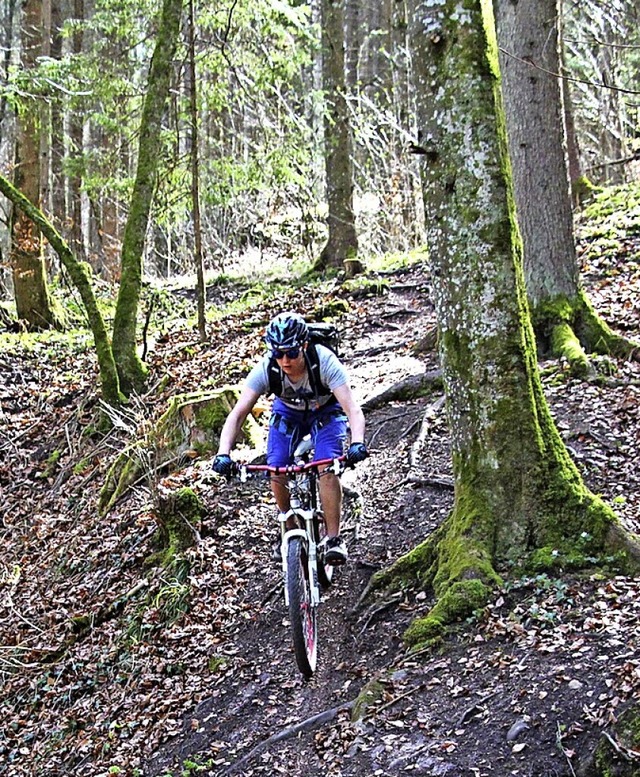 Fr Mountainbiker entsteht in Bonndorf...Unser Bild zeigt den Flowtrail Wutach.  | Foto: Wolfgang Dornfeld