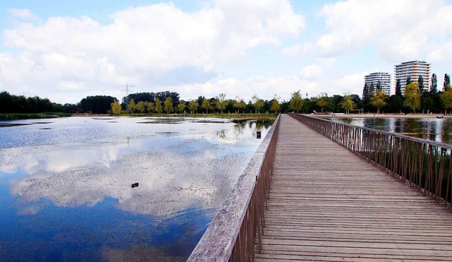 Sanierung  des Stegmattensees soll  beginnen  | Foto: Heidi Fel