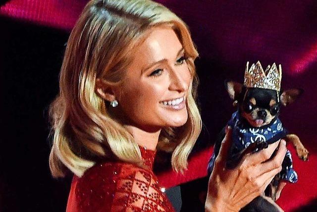 Paris Hilton sucht nach ihrem Hund: 