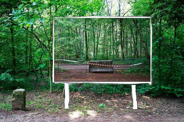 Bilder von Jan Sulzer sind im Landschaftspark Wiese ausgestellt.  | Foto: Jan Sulzer