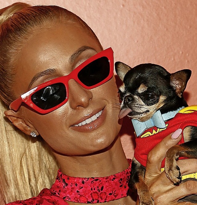 Paris Hilton mit Diamond Baby  | Foto: PAUL MORIGI (Getty Images via AFP)