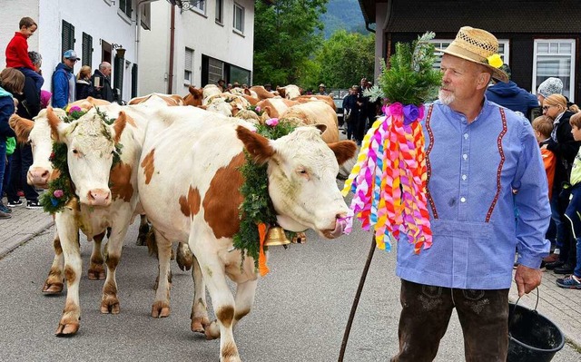 Hubert Wehrle kennt seine Tiere, die ihm gehorsam folgten.  | Foto: Horst Dauenhauer