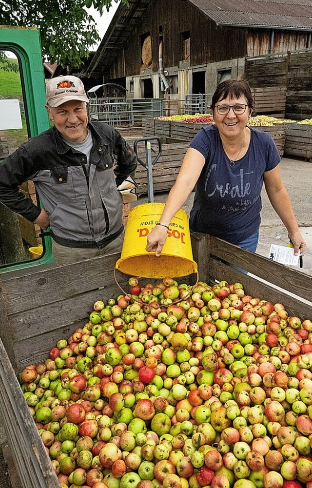 Die Kisten auf der Waage fllen sich b...ger  mit pfeln aus dem Achdorfer Tal.  | Foto: Wolfgang Scheu