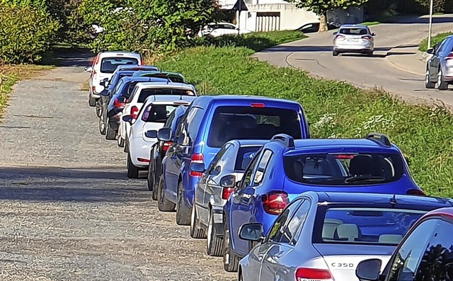 Am  Wegesrand nrdlich der Bahngleise ...r soll nun regulr ausgebaut werden.    | Foto: Baier, Markus