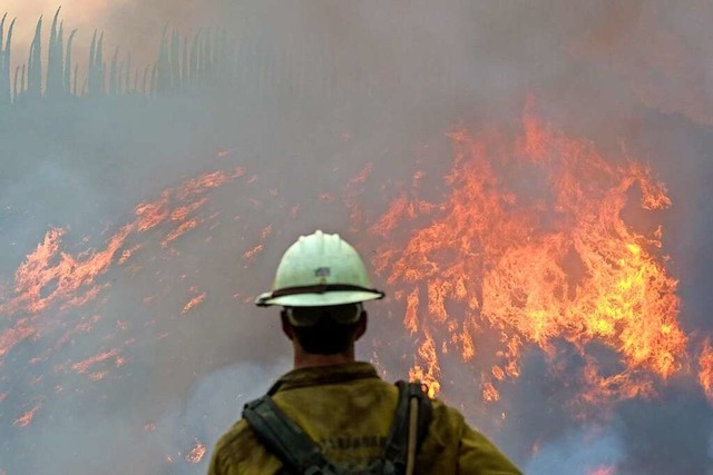 Ein Waldbrand in Kalifornien  | Foto: Ringo H.W. Chiu (dpa)