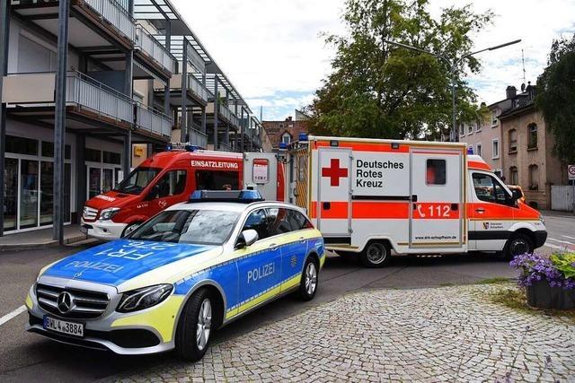 Blaulichtorganisationen zeigen in Rheinfelden , wie sie retten