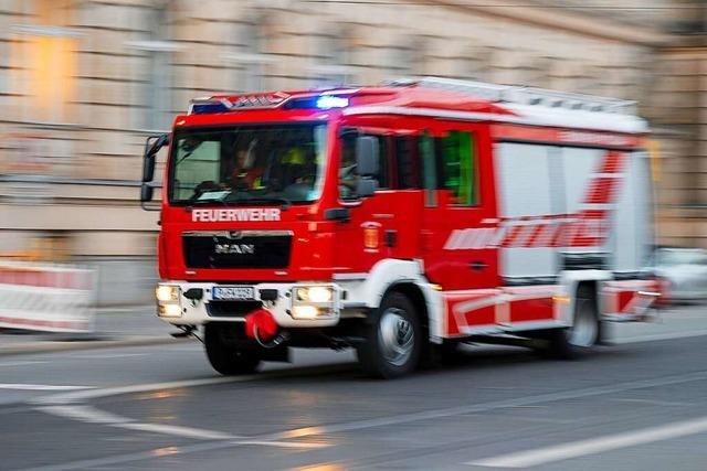 Fehlalarm: Markgrfler Gymnasium und Alemannen-Realschule in Mllheim wegen Brandmeldealarm gerumt