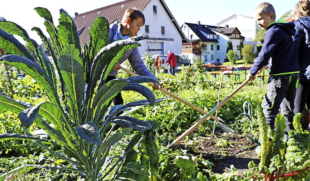 Die gemeinsame Gartenarbeit fördert  d...  das soziale Miteinander der Schüler.  | Foto: Martha Weishaar