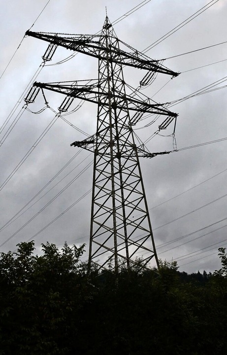 Auch die Strommasten im Bereich des Um...;Rippolingen-Istein&#8220;  betroffen.  | Foto: Heinz und Monika Vollmar