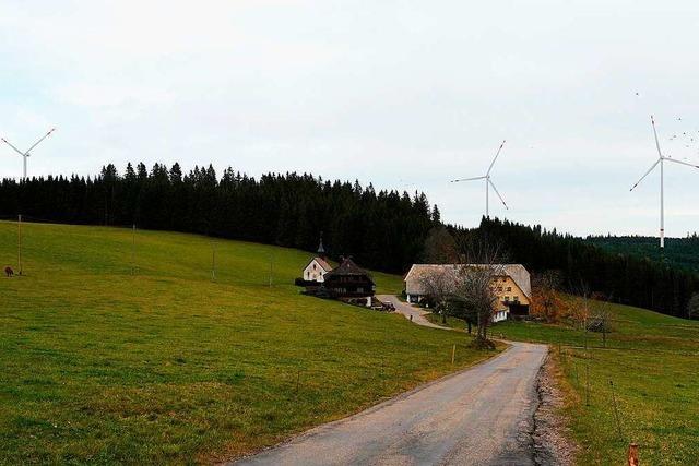 Windkraftanlagen auf dem Neustdter Kolmen gelten als unproblematisch