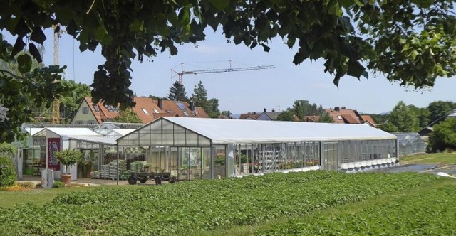 Das jetzige Grtnereigelnde bei Holzhausen knnte bald neues Bauland geben.   | Foto: Manfred  Frietsch