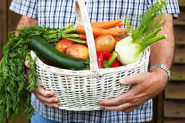 Wie solidarische Landwirtschaft in der Region Freiburg funktioniert