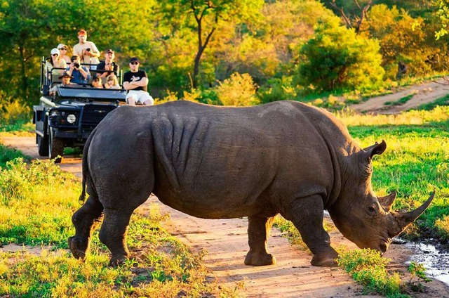   | Foto: South African Tourism