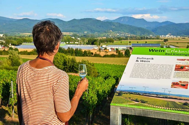 Wenn das keine Erholung ist! Individue...ertour in den Reben von Bad Krozingen  | Foto: Gabriele Hennicke