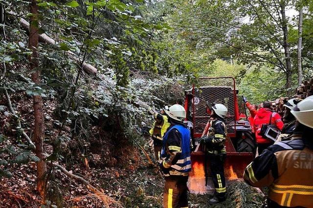 Mann verletzt sich bei Waldarbeiten in Simonswald