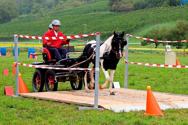 Niggi Lscher und Apollo in Aktion  | Foto: Reinhard Cremer