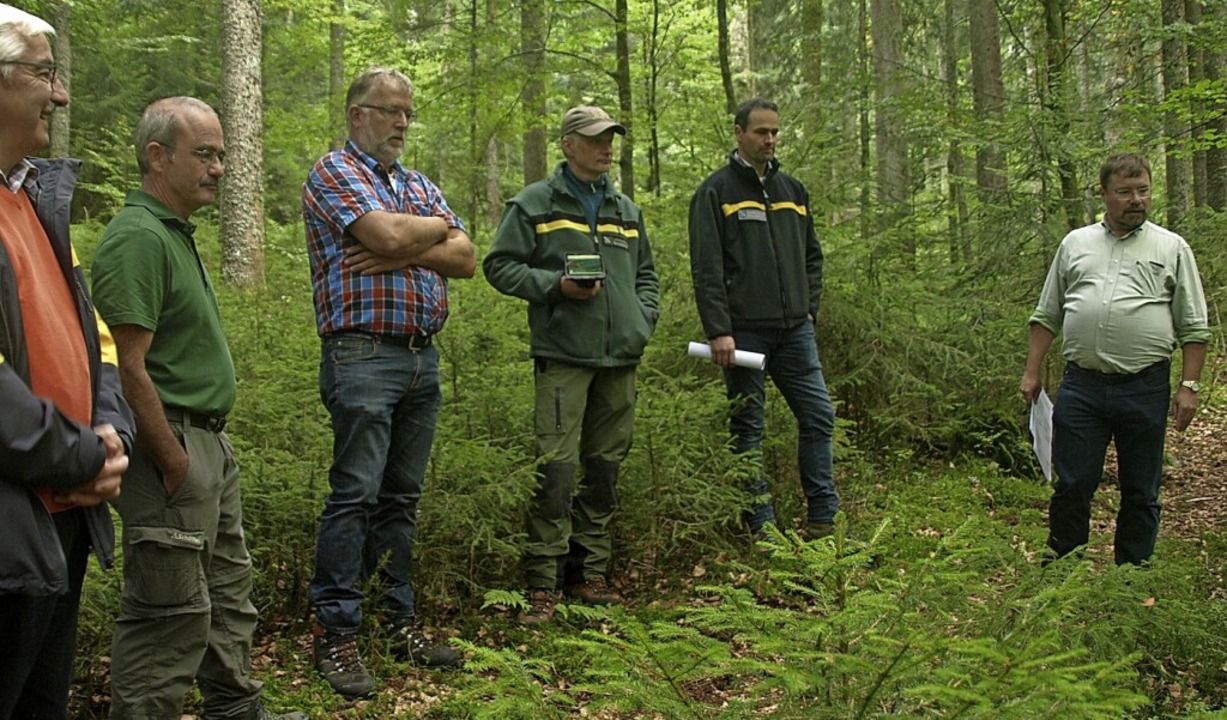 Im Rahmen der Verabschiedung des neuen...nderat und Fachleute den Gemeindewald.  | Foto: Karin Stöckl-Steinebrunner