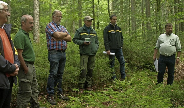 Im Rahmen der Verabschiedung des neuen...nderat und Fachleute den Gemeindewald.  | Foto: Karin Stckl-Steinebrunner