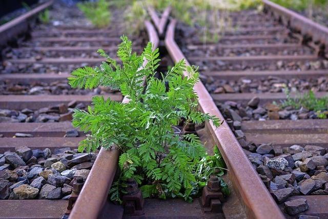 Reaktivierung von Bahnstrecken kommt auch in Sdbaden nicht voran