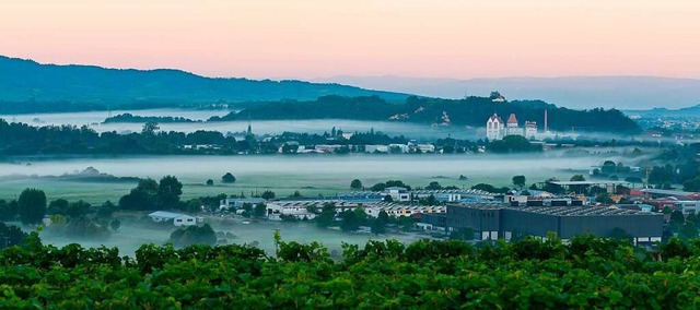 Morgennebel ber Malterdingen. Im Hintergrund: Riegel.  | Foto: Emanuel Jauch