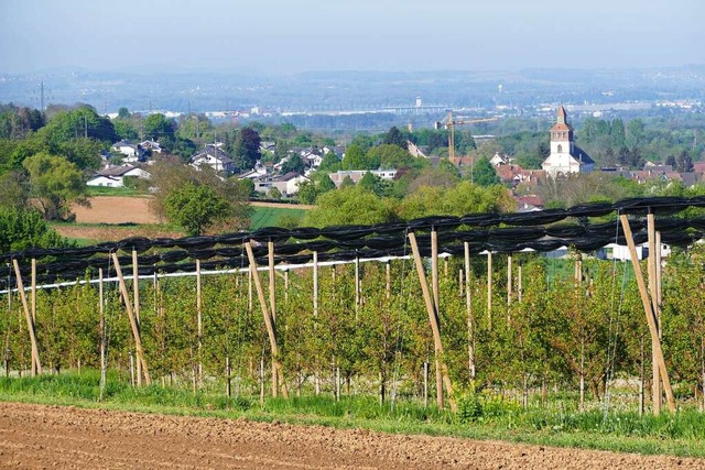 Der Erhalt des Brginhofs ist einer de...die die CDU zum Umdenken gebracht hat.  | Foto: Victoria Langelott