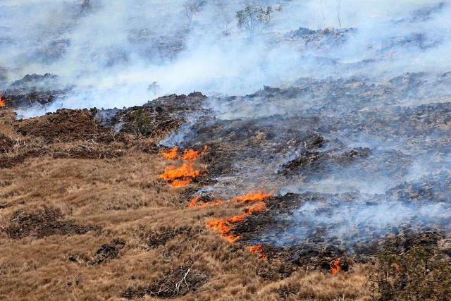 Das Symbolbild zeigt einen Brand in trockener Vegetation.  | Foto: - (dpa)
