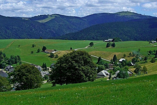 Panoramaaussichten in alle Richtungen:...  Hofsgrund  bis hinber zum Feldberg.  | Foto: Original Landreisens