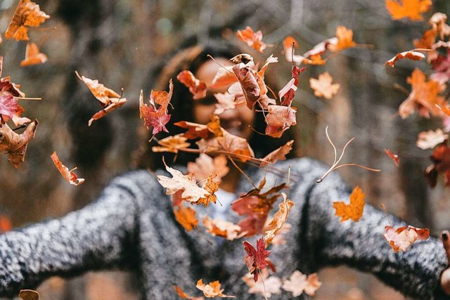 Der Herbst muss nicht immer grau und nasskalt sein.  | Foto: Jakob Owens