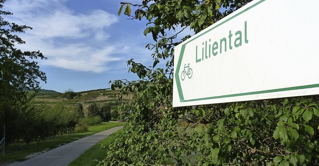 Das Liliental ist bei Ausflglern sehr beliebt. Ein Radweg fehlt aber bislang.  | Foto: Sattelberger