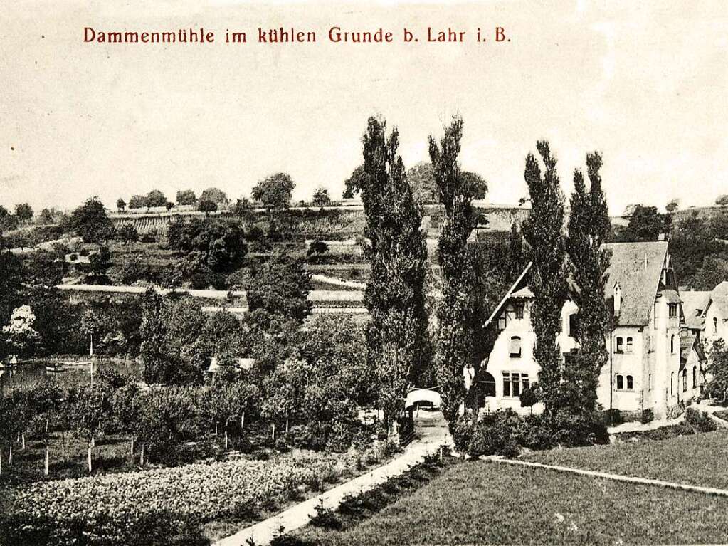 Das Gasthaus Dammenmhle auf historischen Ansichtskarten