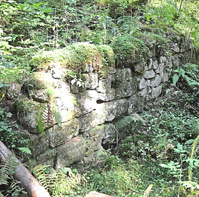 Mauerreste zeugen von der 1809 erbaute...rone erhalten geblieben (Bild rechts).  | Foto: Friedbert Zapf