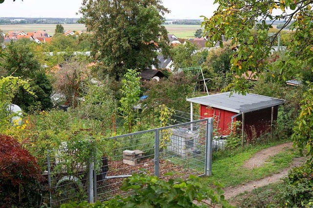 Die Kleingartenanlage in Eschbach sorgt fr Aufregung.  | Foto: Volker Mnch
