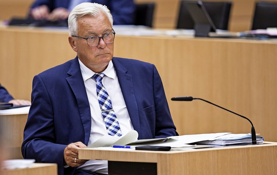 Bernd Gögel im Landtag  | Foto: Tom Weller (dpa)