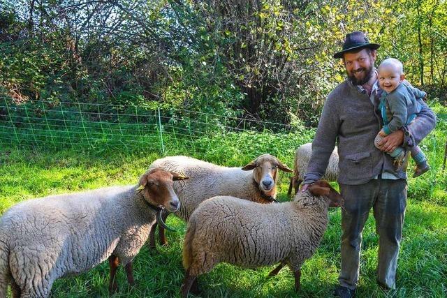 Michels Kleinsthof in Bad Krozingen hält Schafe, deren Rasse vom Aussterben bedroht ist