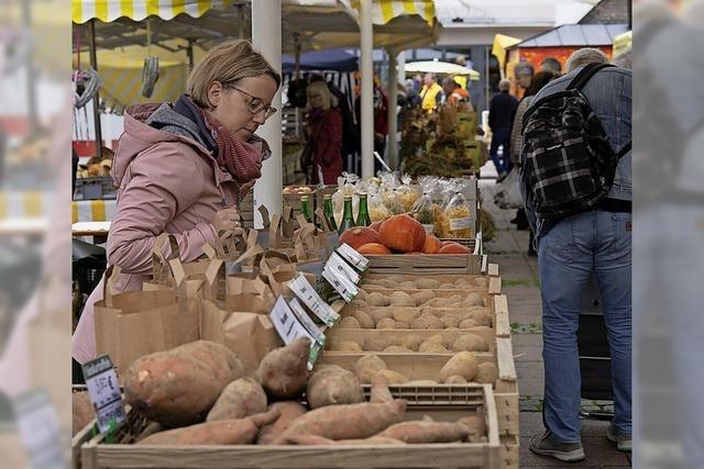 Neuenburg im Markt-Fieber