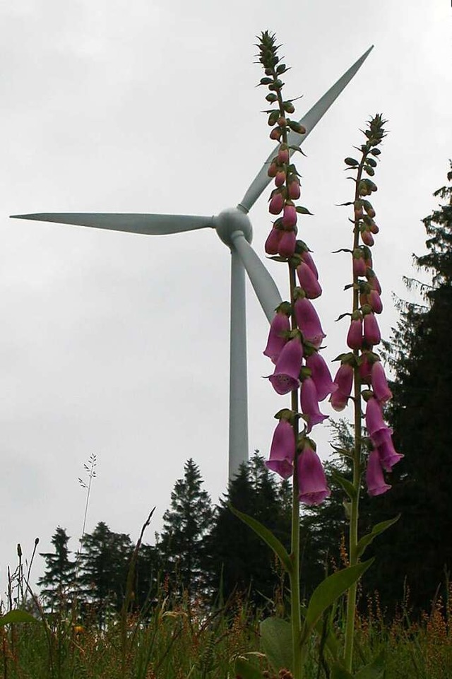 Windkraft auf dem Schillinger Berg: Die neue Anlage wird 229 Meter hoch sein.  | Foto: Christian Ringwald