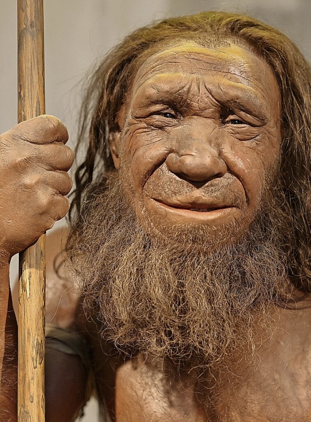 Die Nachbildung eines Neandertalers steht im Museum in Mettmann.  | Foto: Oliver Berg (dpa)