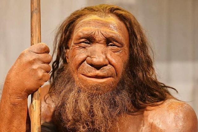 Was sind Neandertaler?