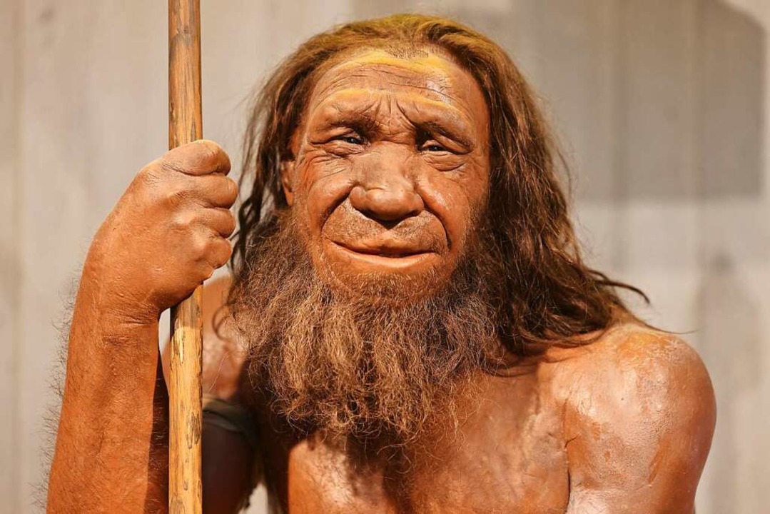 So sahen die Neandertaler in etwa aus....ht im Neandertaler Museum in Mettmann.  | Foto: Oliver Berg (dpa)