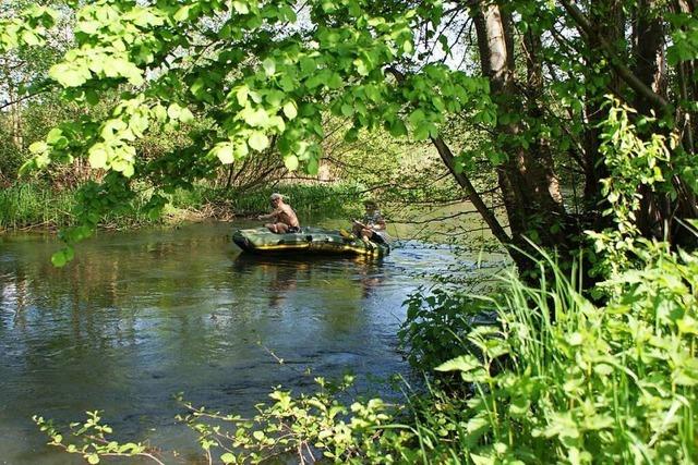 Bootsfahrten im Taubergieen und auf der Alten Elz sind wieder erlaubt