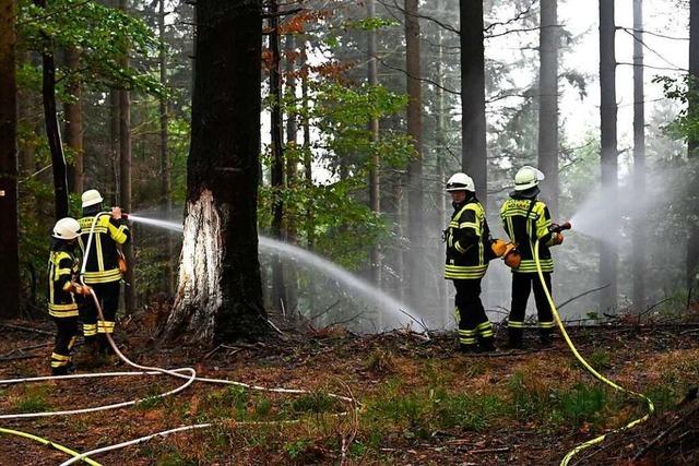 Markgrfler Feuerwehren trainieren fr Waldbrand-Einstze