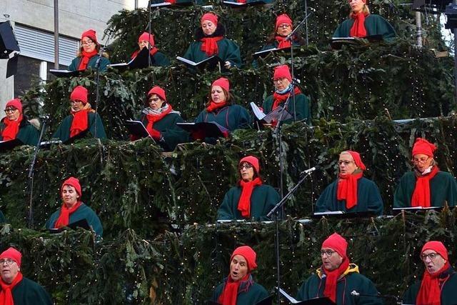 Waldkirch bekommt einen singenden Weihnachtsbaum