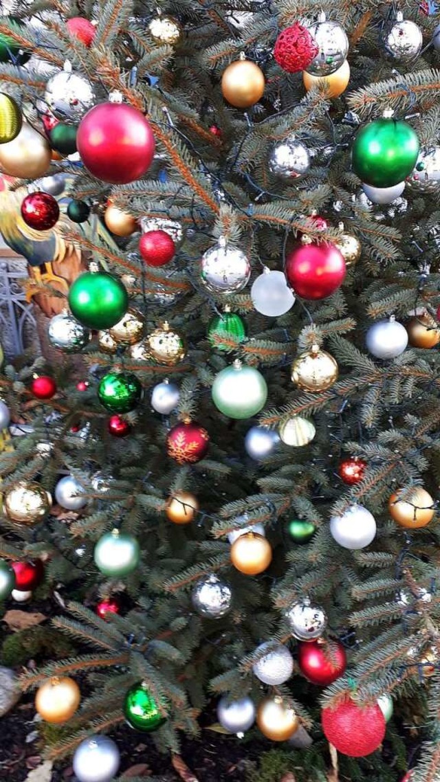Einen Weihnachtsbaum soll es in Schallbach geben.  | Foto: Hannes Lauber