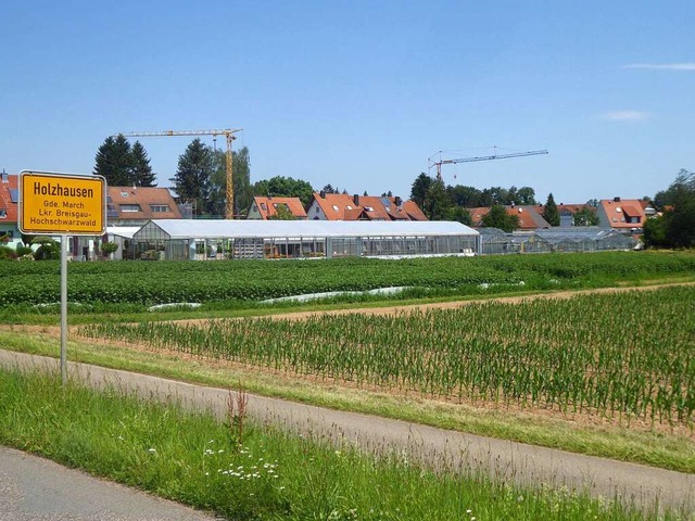 Die bisherige Grtnerei bei Holzhausen...iet mit bis zu 80 Wohneinheiten geben.  | Foto: Manfred  Frietsch