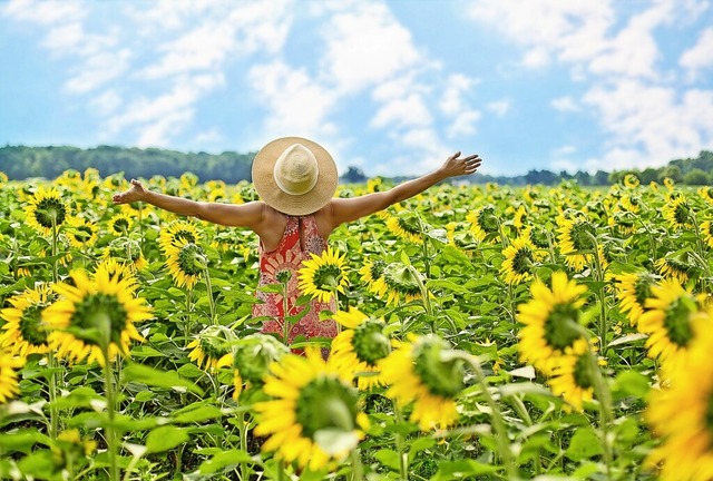 Seelische Erkranken gibt es immer mehr... einem Feld voller Sonnenblumen steht.  | Foto: Pixabay
