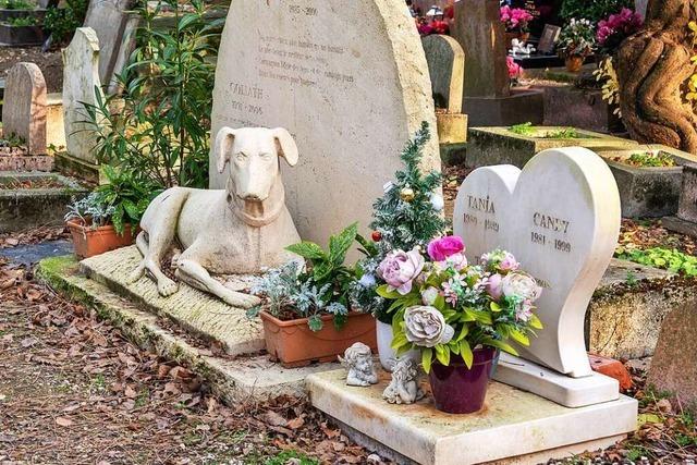 Wie ein Trauerbegleiterin Menschen hilft, deren Haustiere sterben