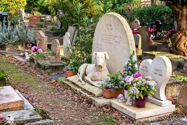 Auch Haustiere knnen beerdigt werden,...hier einem Haustier-Friedhof in Paris.  | Foto: Delphine Poggianti