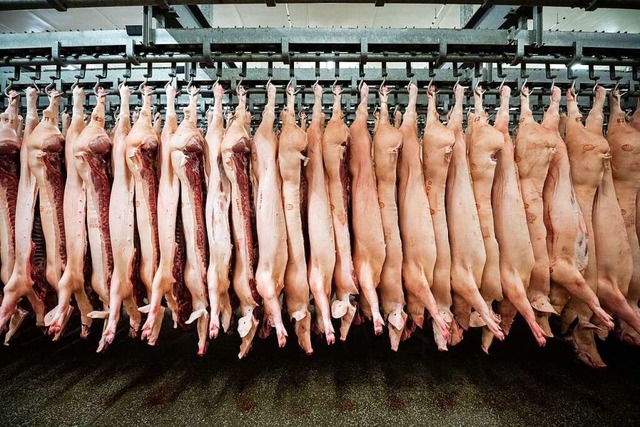 Halbe Schweine hngen in einem Schlachthof an Haken.  | Foto: Mohssen Assanimoghaddam (dpa)
